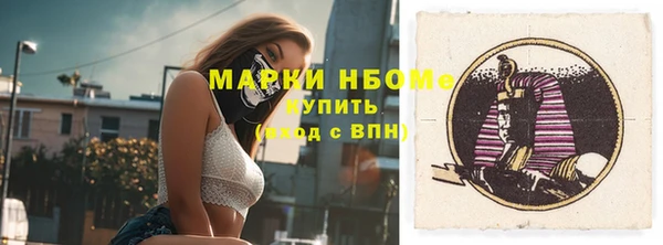 прущие грибы Горно-Алтайск