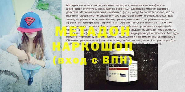 прущие грибы Горно-Алтайск