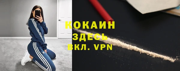 прущие грибы Горно-Алтайск