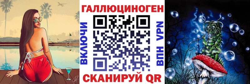 Купить закладки  Карабаш  Псилоцибиновые грибы Psilocybe 